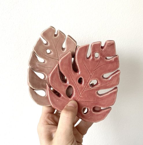 Monstera - Barva: Světlá růžová