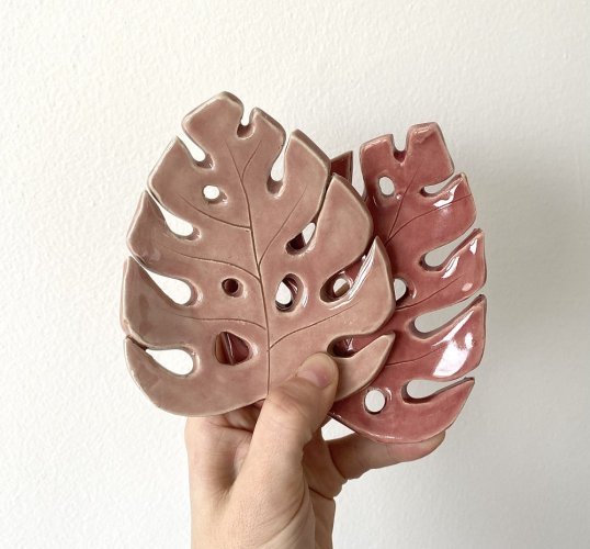 Monstera - Barva: Světlá růžová